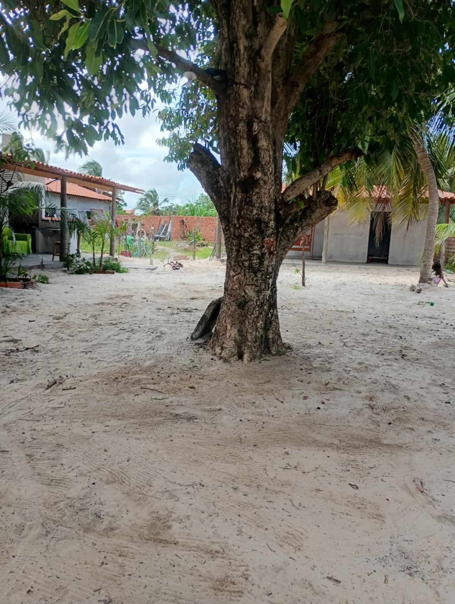 Pousada Shalom E Hostel Holly Land Santo Amaro do Maranhao Ngoại thất bức ảnh