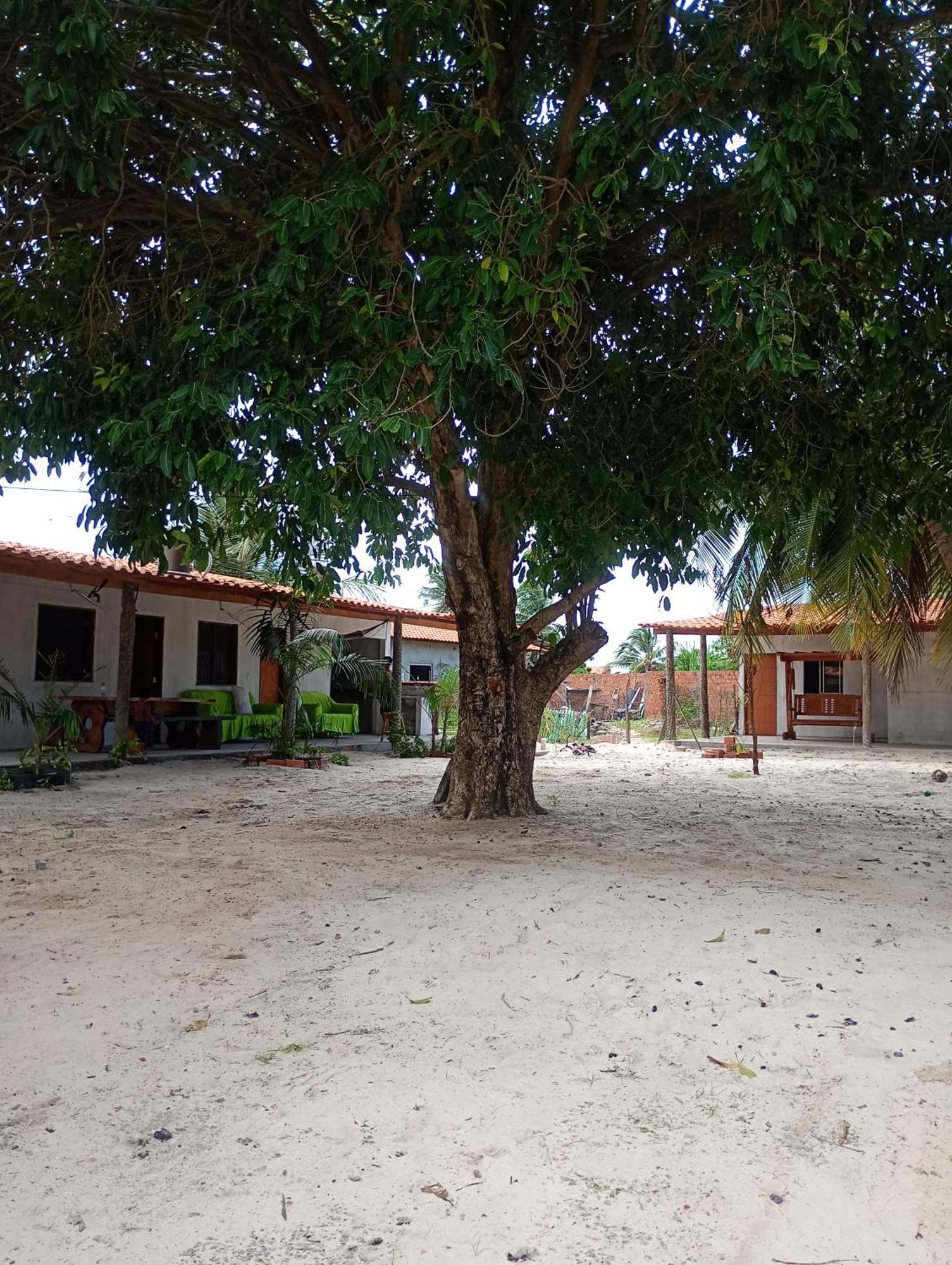 Pousada Shalom E Hostel Holly Land Santo Amaro do Maranhao Ngoại thất bức ảnh