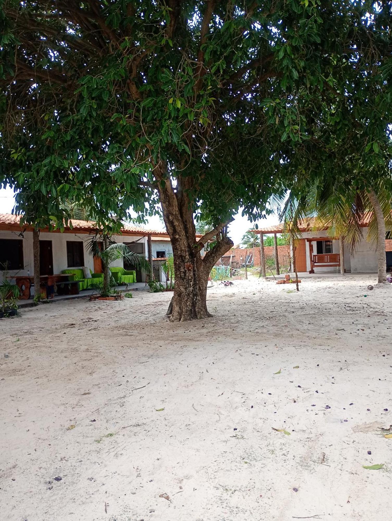 Pousada Shalom E Hostel Holly Land Santo Amaro do Maranhao Ngoại thất bức ảnh